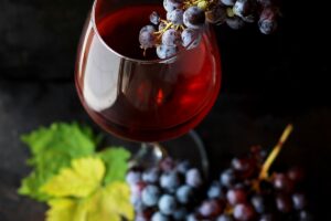 Colline Toscane - cantina